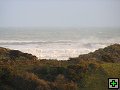 thn_The Catlins Coast 037.jpg